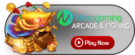 MicroGaming